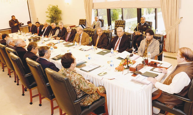 NAP objectives have to be met, PM